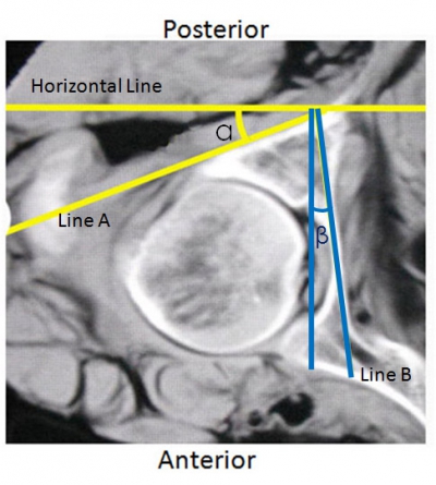 figure 1.jpg
