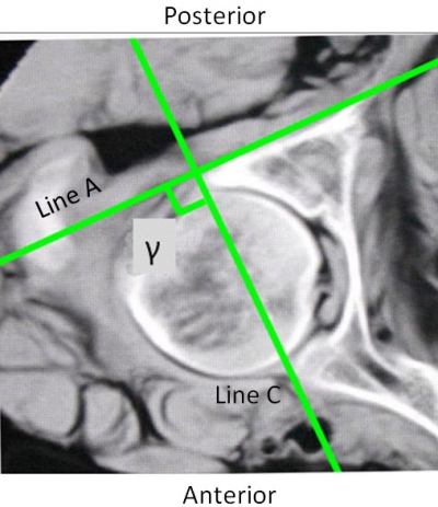 figure 2.jpg