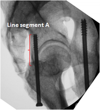 figure 4.jpg