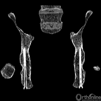 figure 6.jpg