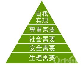 7381435199858875.jpg
