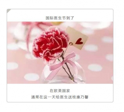 康乃馨.jpg