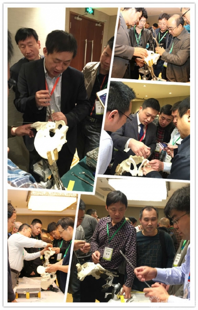 8.pic_hd_副本.jpg