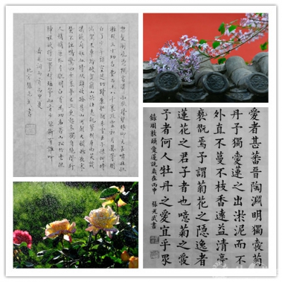 479787158436526801_副本.jpg