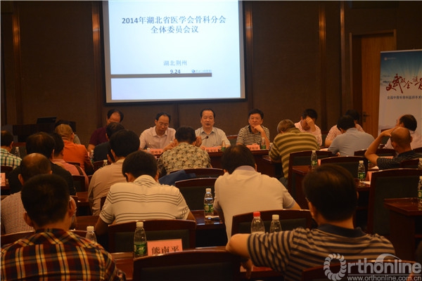 陈安民教授主持2014年湖北省医学会骨科分会全体委员会议.jpg