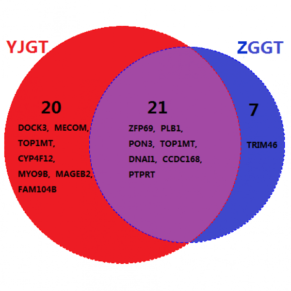 22.png