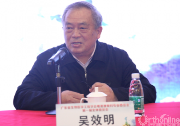 5 吴效明副理事长致辞.png