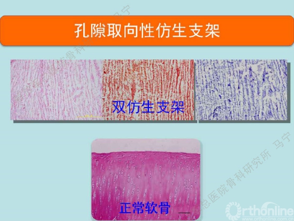 幻灯片8.jpg