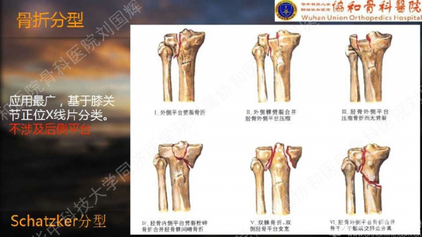幻灯片9.jpg