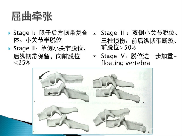 幻灯片4.PNG