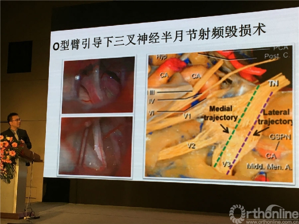 舒伟.jpg