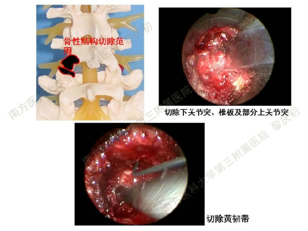 幻灯片51.JPG