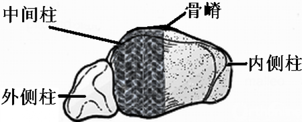 1_副本.png