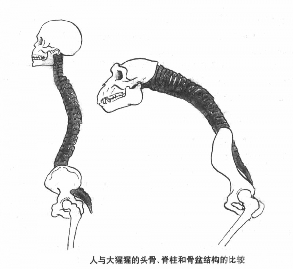微信图片(1).jpg