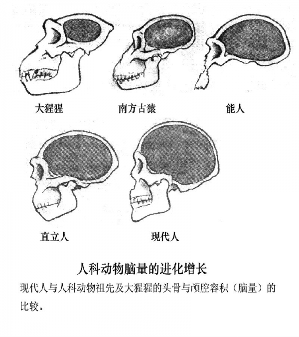 秦泗河图片2.png