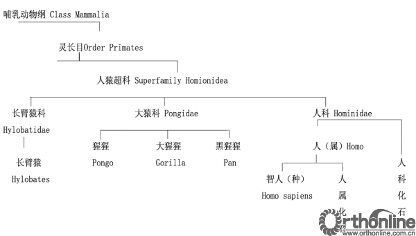 秦泗河图片1.png