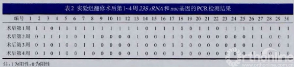4_副本.jpg