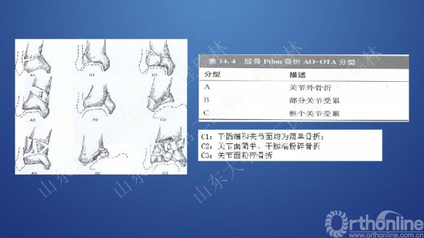 幻灯片10.JPG