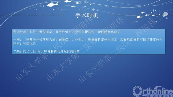 幻灯片20.JPG