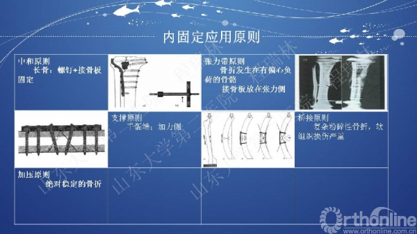 幻灯片29.JPG