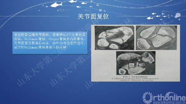 幻灯片39.JPG