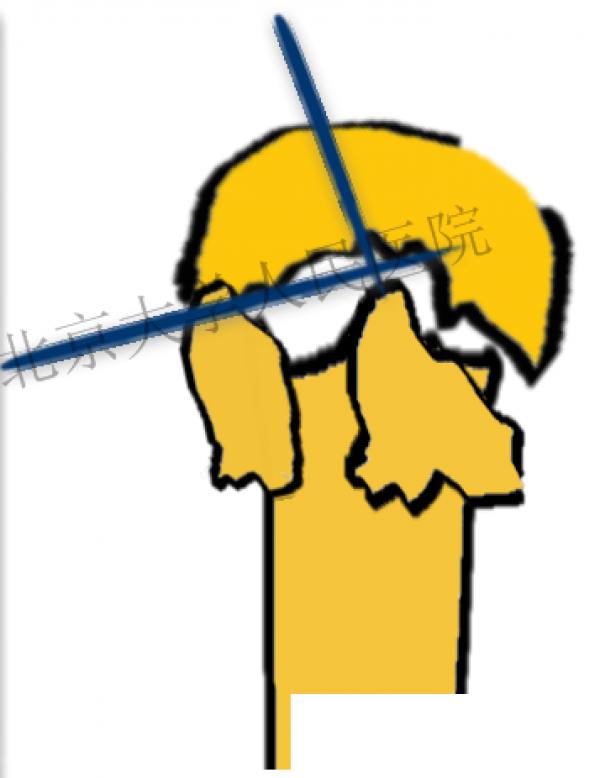 26-2.png