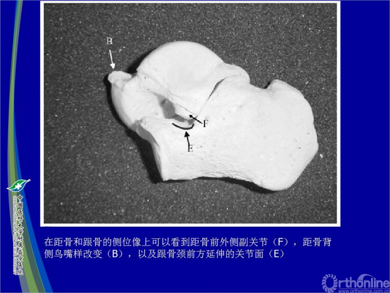 幻灯片8.JPG