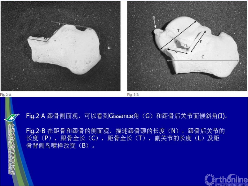幻灯片9.JPG