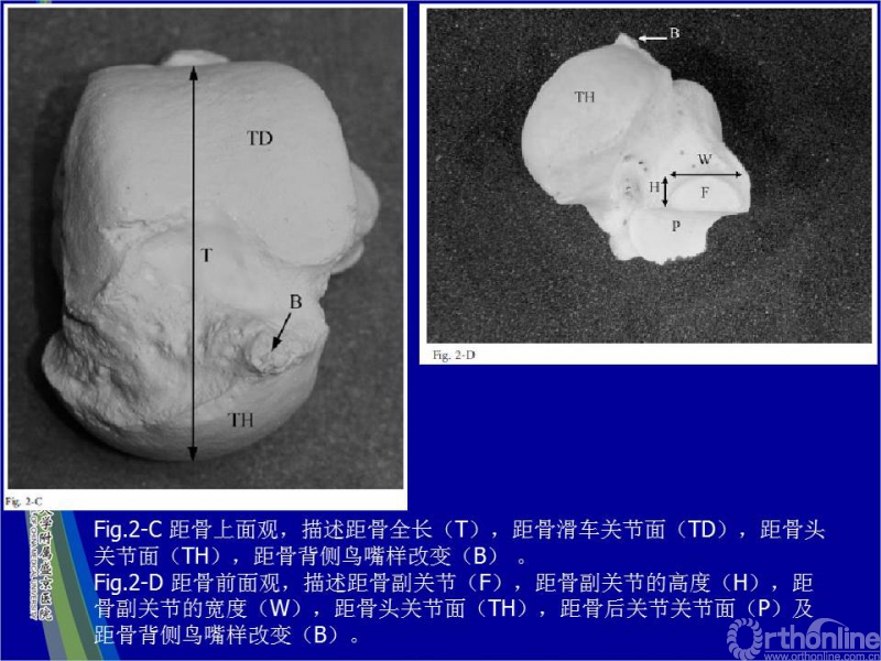 幻灯片10.JPG