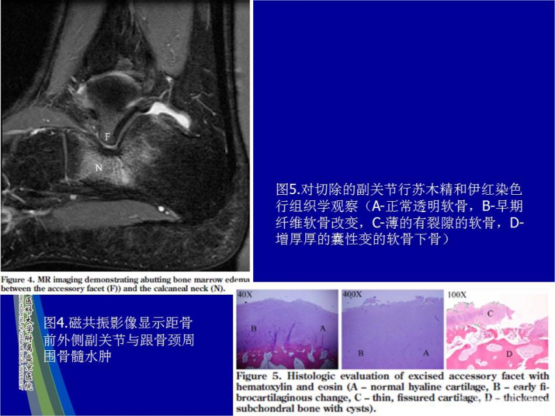 幻灯片20.JPG
