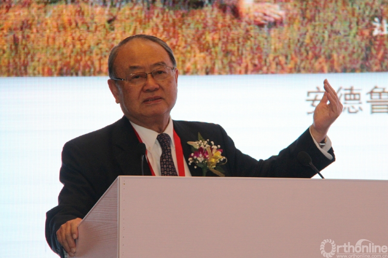 4戴尅戎院士发言.JPG