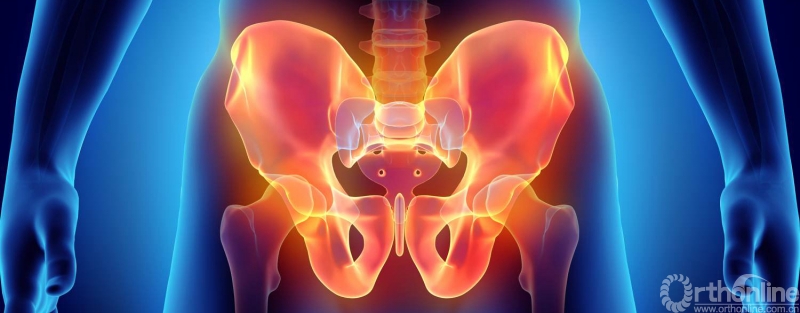 shu-Pelvis-injury-485980747_副本_副本.jpg
