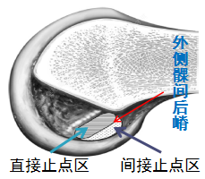 图片24.png