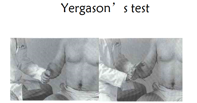 40.png