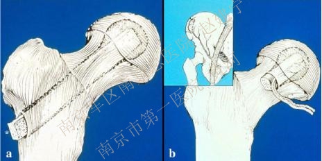 图片17.jpg
