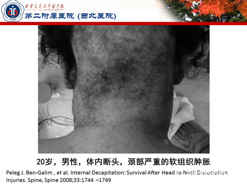 幻灯片42.PNG