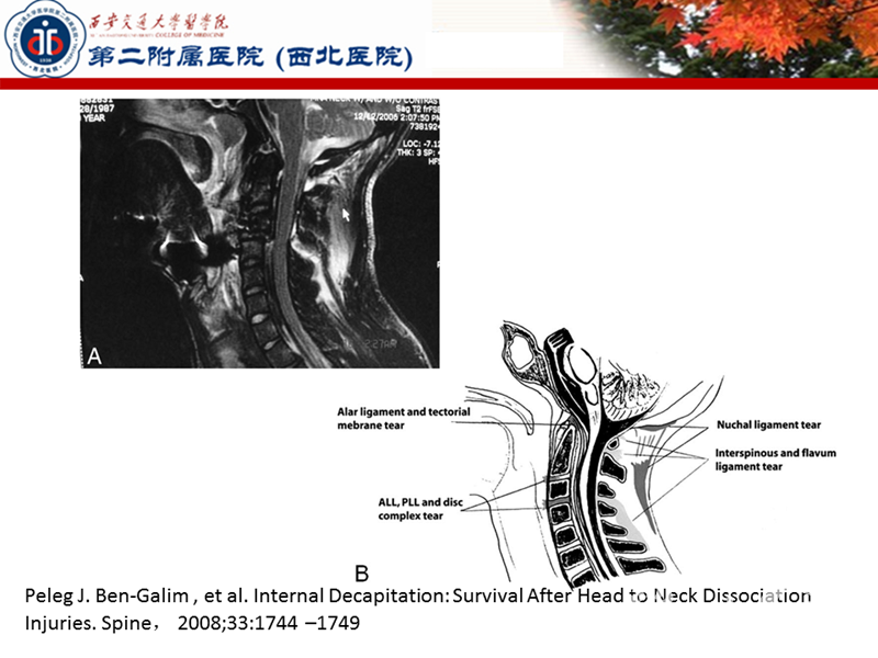 幻灯片43.PNG