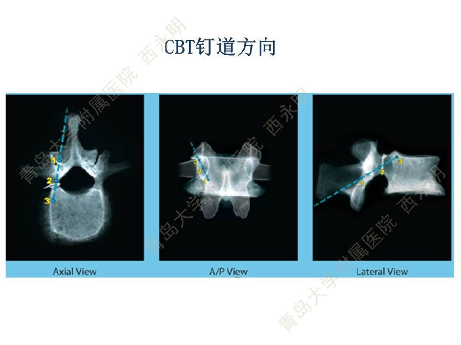 幻灯片6.JPG