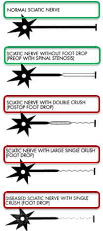 13.png
