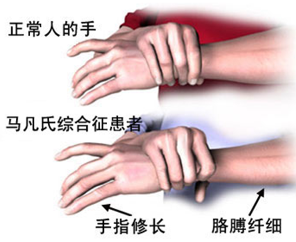 图2.png