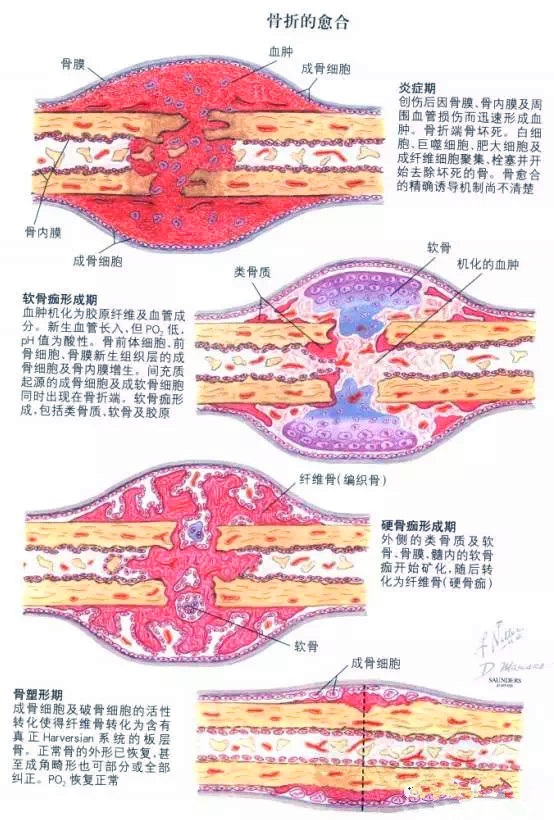 55_副本.png