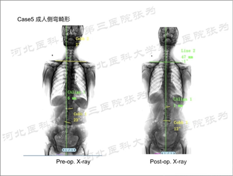 55_副本.jpg