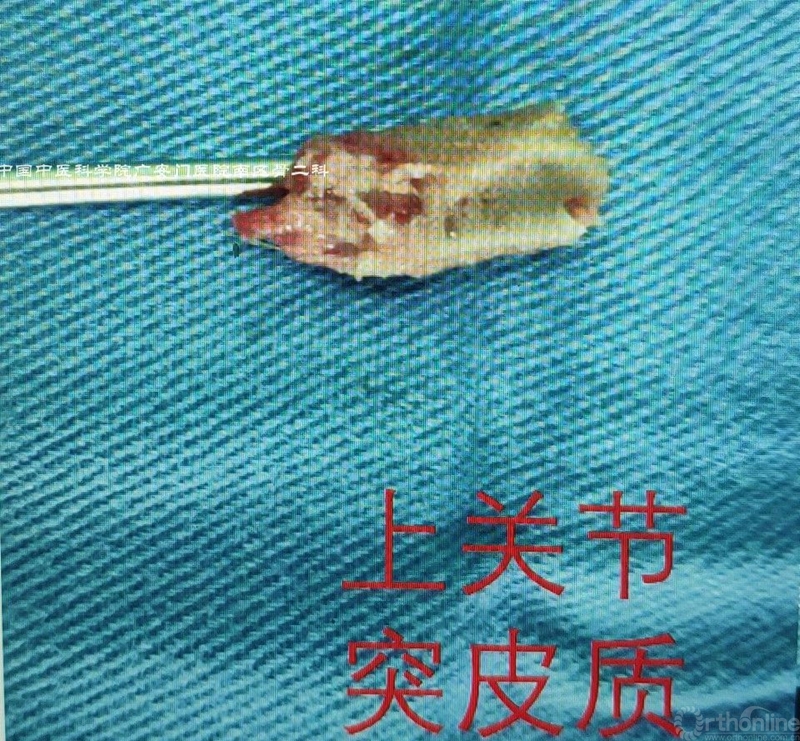 image011_副本.jpg
