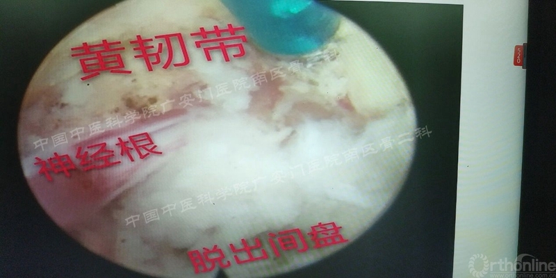image012_副本.jpg