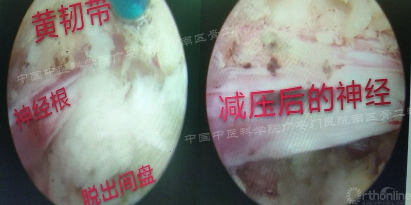 image013_副本.jpg