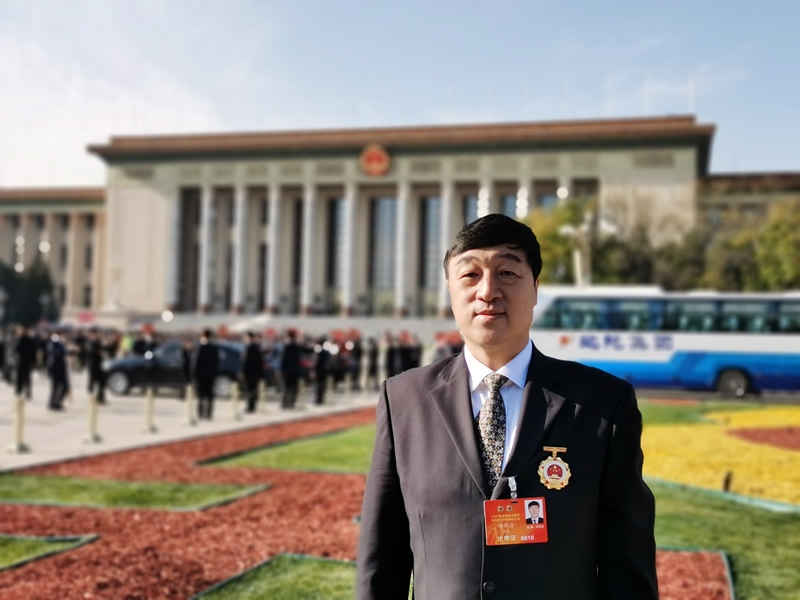 杨改.jpg
