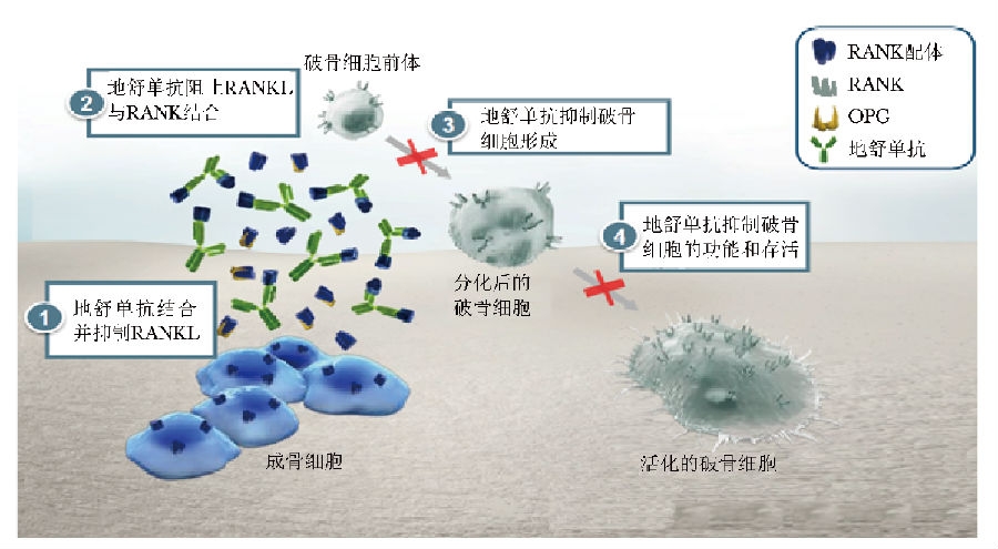 图1.png